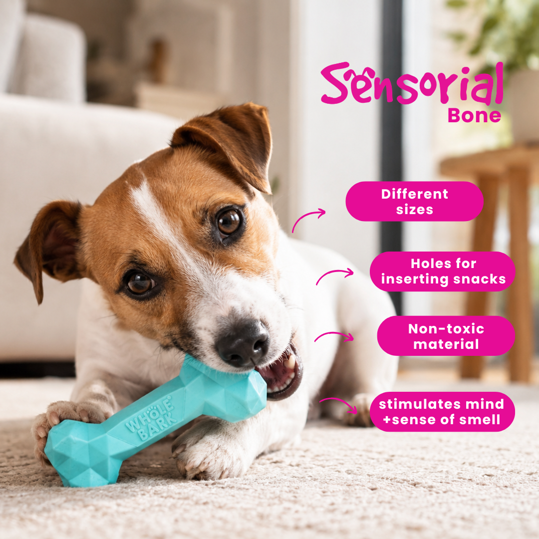 Interactive Durable Dog Chew Toy with Treat Slots - Mint Bone | Sensorial Bone