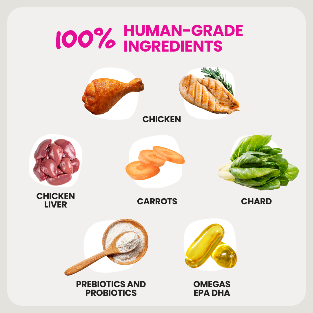 Gently Cooked Shelf-stable Dog Food | Signature Dish with Chicken
