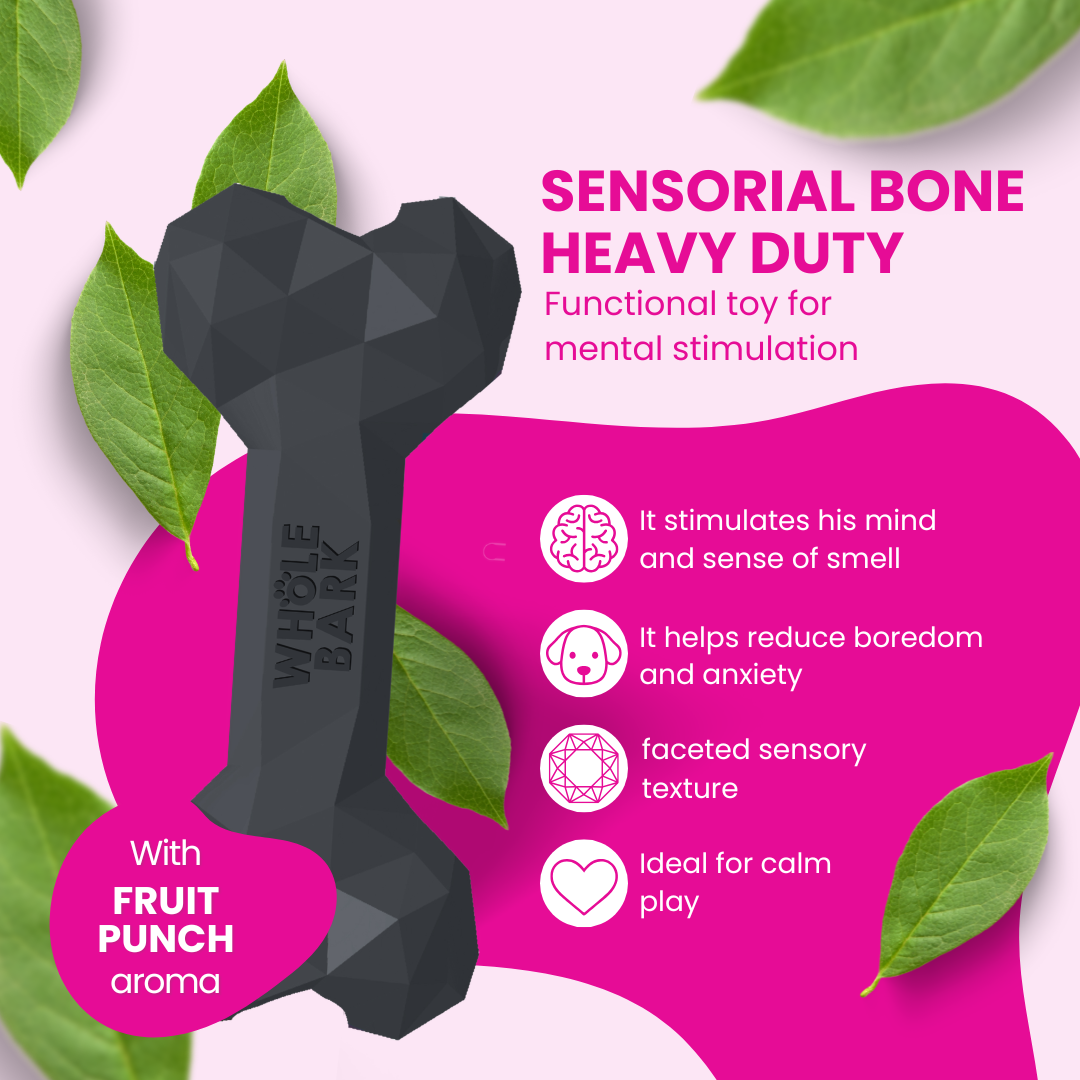 Interactive Heavy Duty Dog Chew Toy with Treat Slots - Heavy Duty | Sensorial Bone