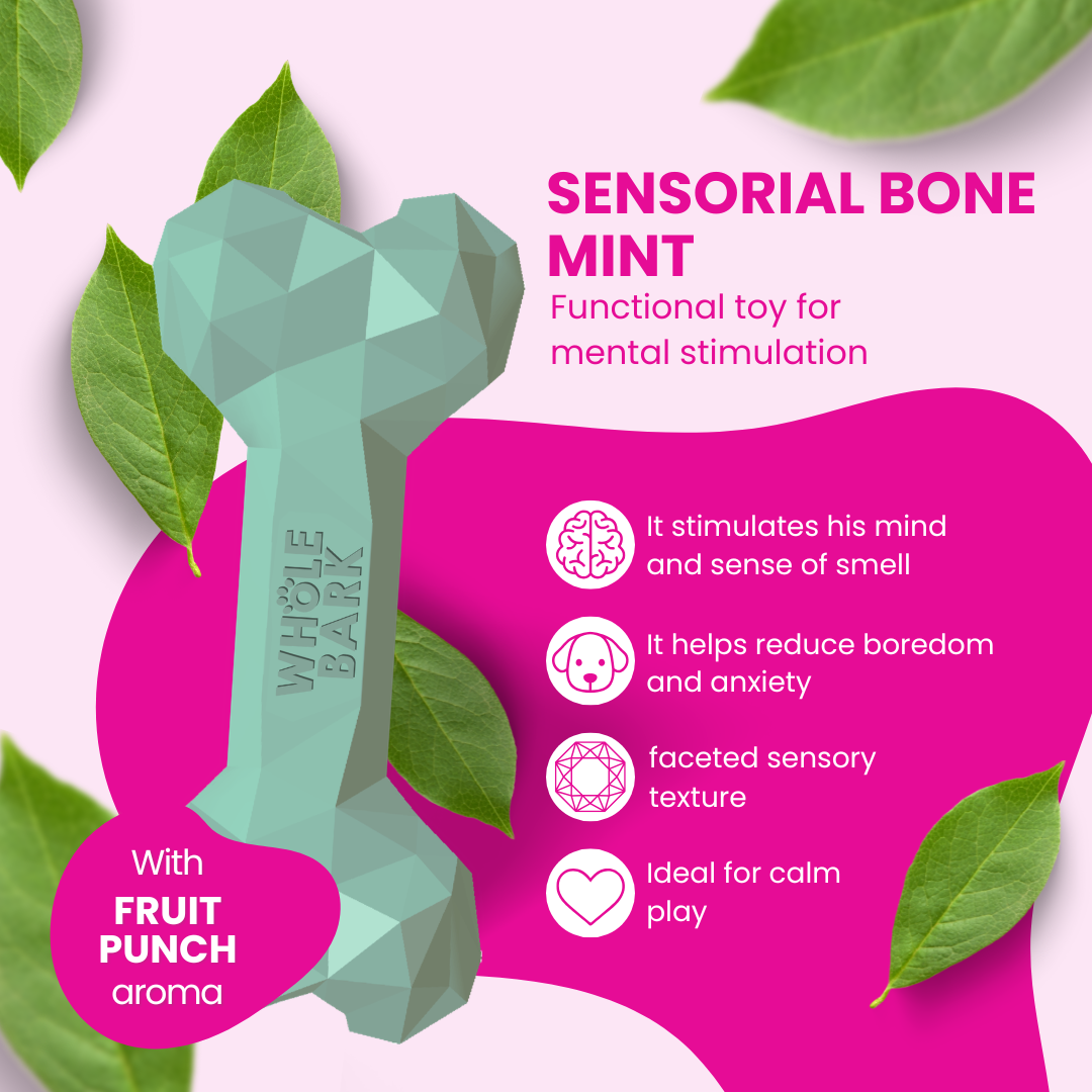Interactive Durable Dog Chew Toy with Treat Slots - Mint Bone | Sensorial Bone