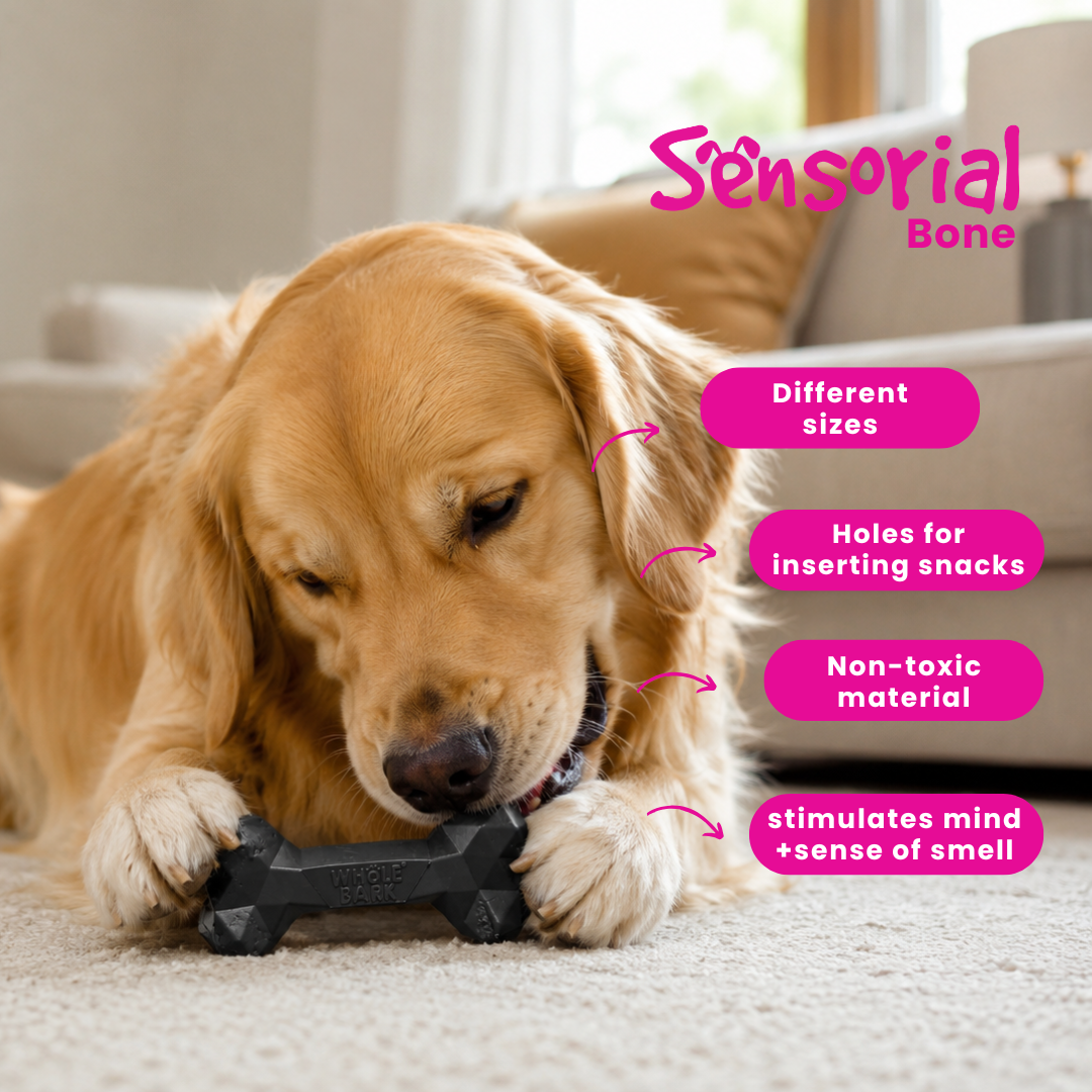 Interactive Heavy Duty Dog Chew Toy with Treat Slots - Heavy Duty | Sensorial Bone