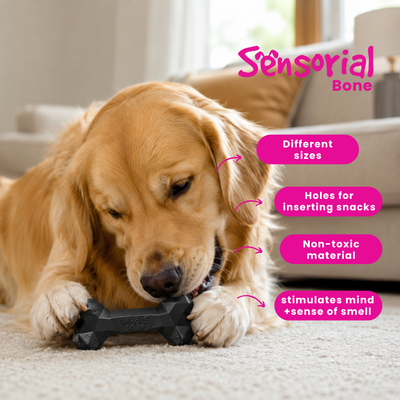 Interactive Heavy Duty Dog Chew Toy with Treat Slots - Heavy Duty | Sensorial Bone