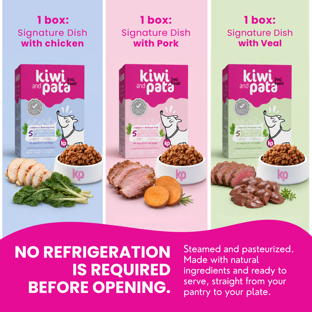 Gently Cooked Shelf-Stable Dog Food Starter Kit - 3 Boxes + Toy