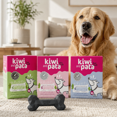 Gently Cooked Shelf-Stable Dog Food Starter Kit - 3 Boxes + Toy