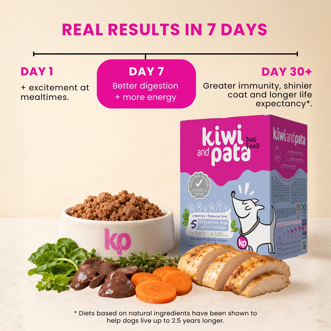 Gently Cooked Shelf-stable Dog Food | Signature Dish with Chicken