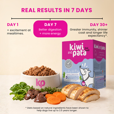 Gently Cooked Shelf-stable Dog Food | Signature Dish with Chicken