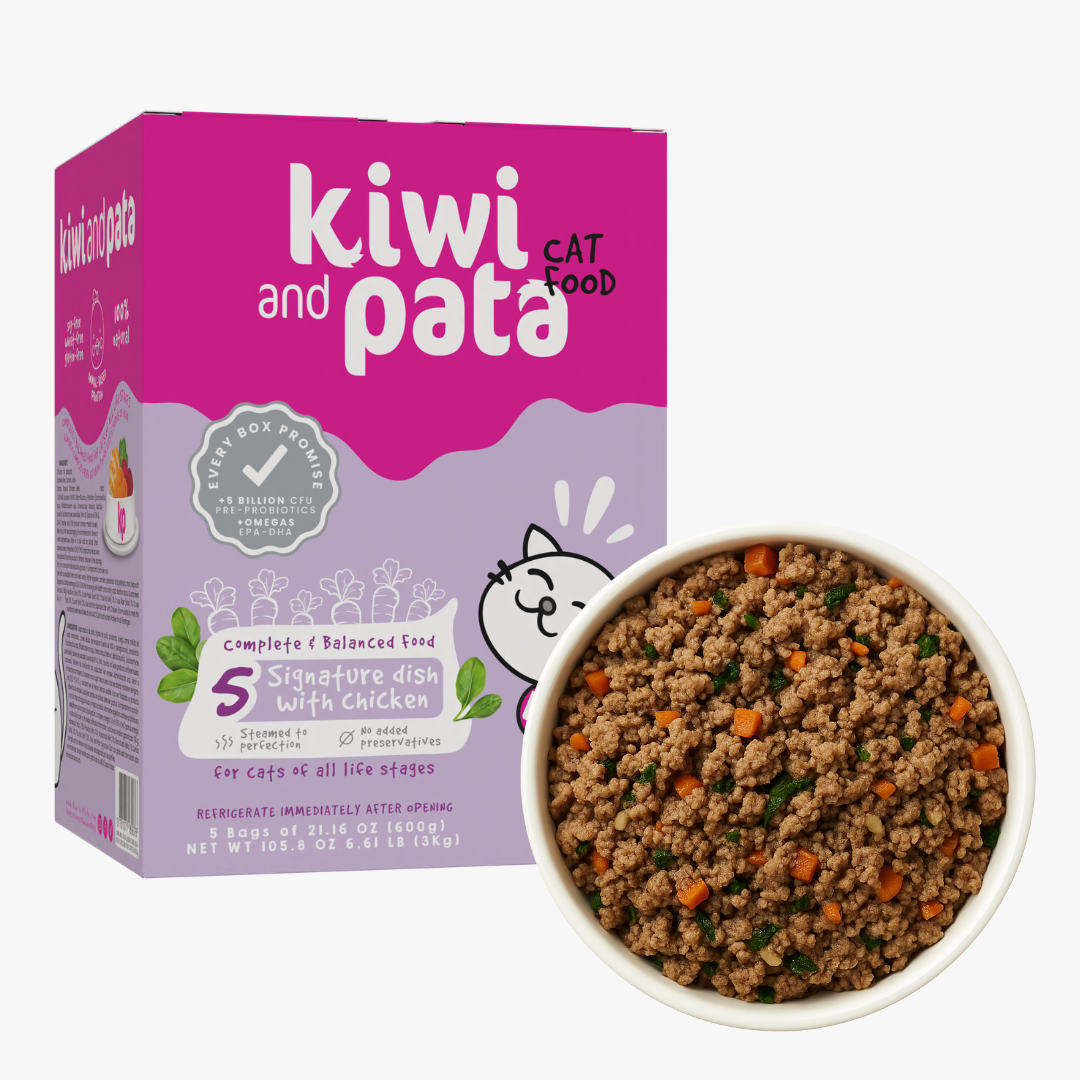 Signature Dish with Chicken - Cats