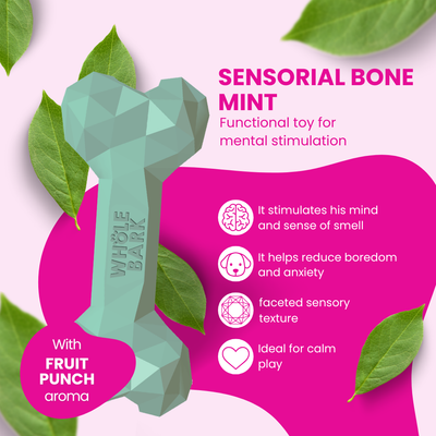 Interactive Durable Dog Chew Toy with Treat Slots - Mint Bone | Sensorial Bone