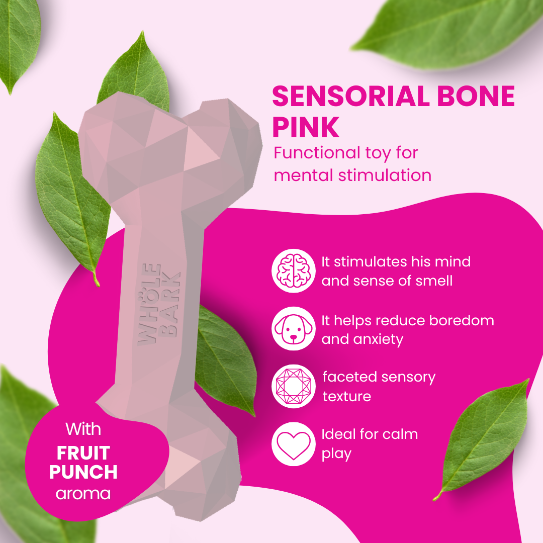 Interactive Durable Dog Chew Toy with Treat Slots - Pink Bone | Sensorial Bone